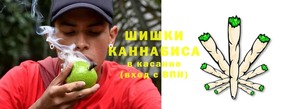 сатива Каменск-Шахтинский