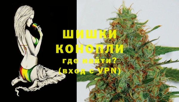 СК Каменка