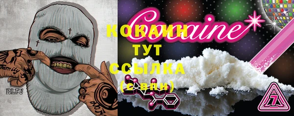 СК Каменка