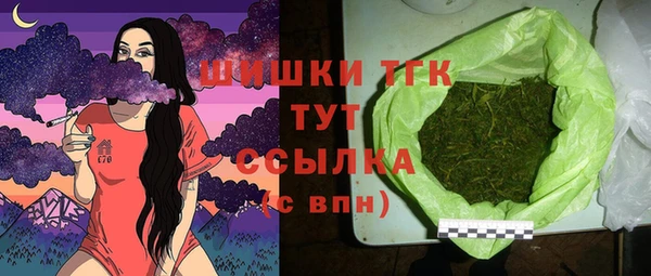 СК Каменка