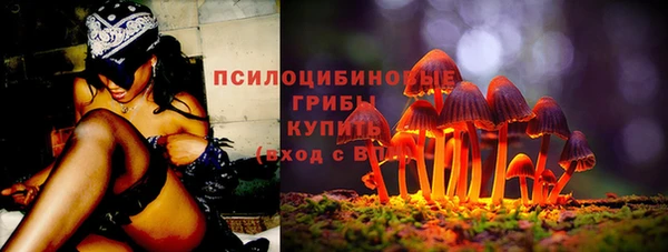 герыч Инсар