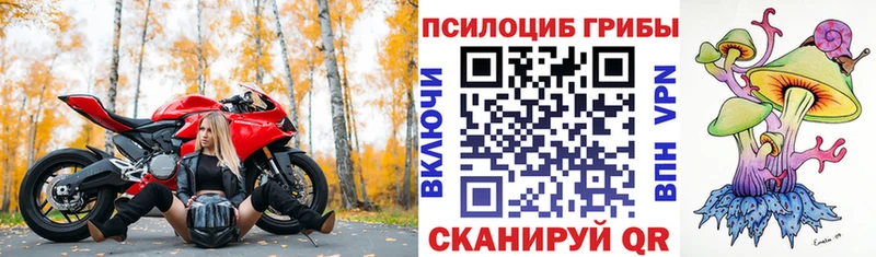 Псилоцибиновые грибы прущие грибы Тетюши